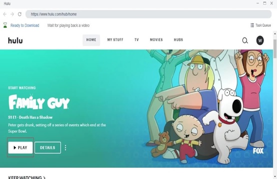 Download and Install StreamFab Hulu Downloader.