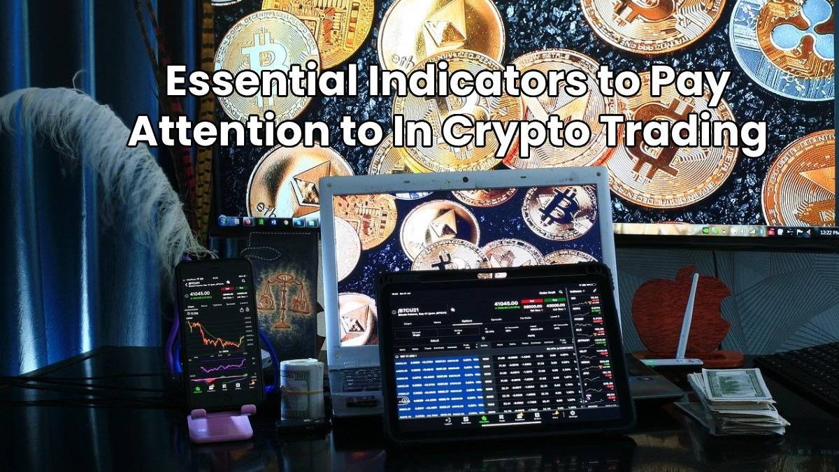 Essential Indicators to Pay Attention to In Crypto Trading