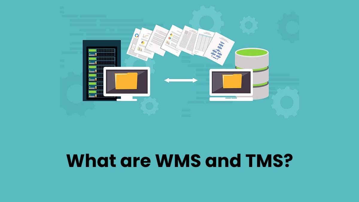 What are WMS and TMS?