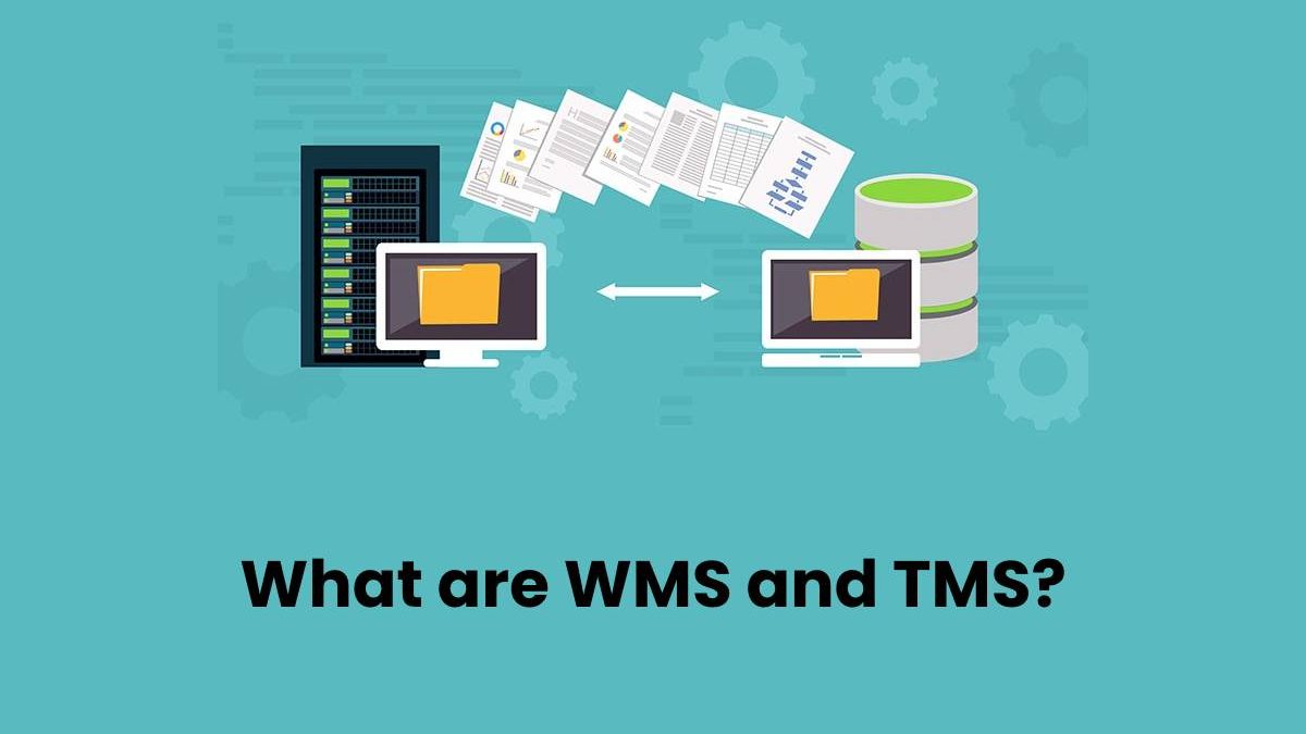 What are WMS and TMS?