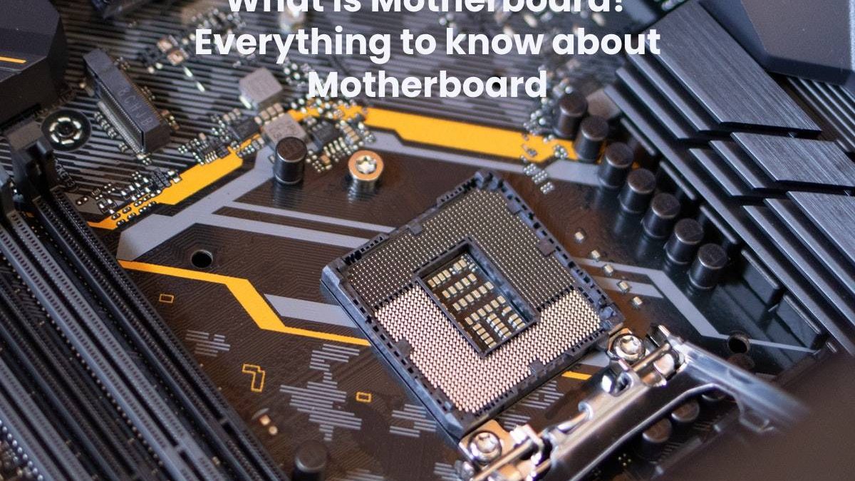 What is Motherboard? Everything to know about Motherboard