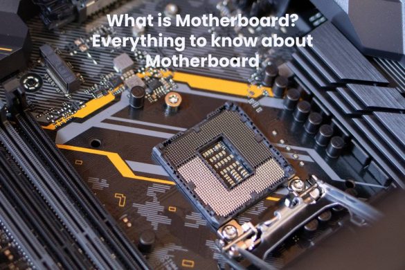 What is Motherboard? Everything to know about Motherboard