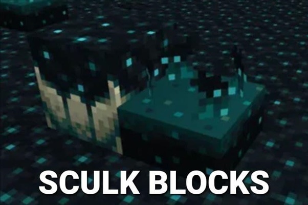 New blocks