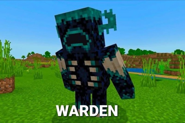Warden