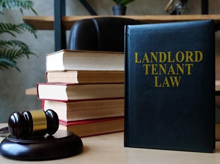 2. Understand Landlord-Tenant Laws
