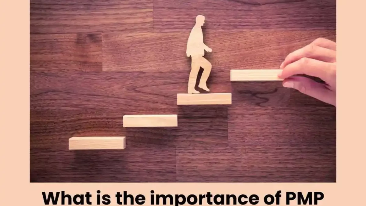 What is the importance of PMP certification? [2025]