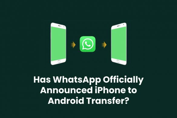 Has WhatsApp Officially Announced iPhone to Android Transfer?