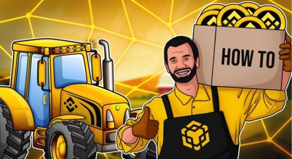 Staking BNB - DeFi Farm. Investment products on Hotbit