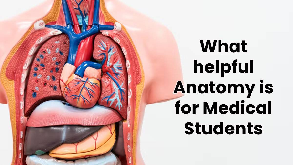What helpful Anatomy is for Medical Students