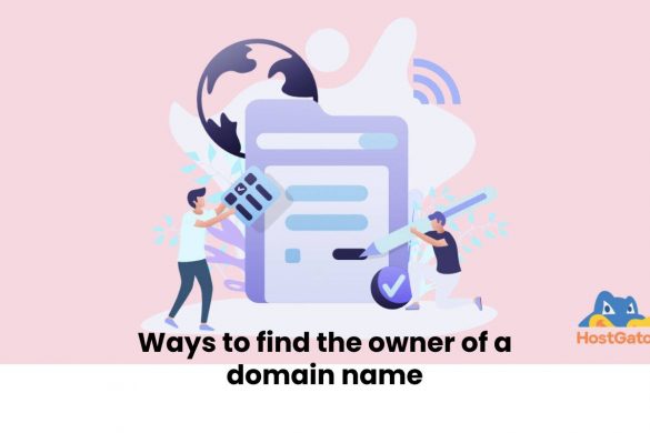 Ways to find the owner of a domain name