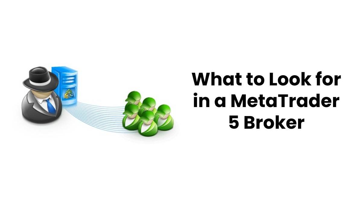 What to Look for in a MetaTrader 5 Broker