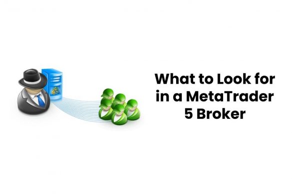 What to Look for in a MetaTrader 5 Broker
