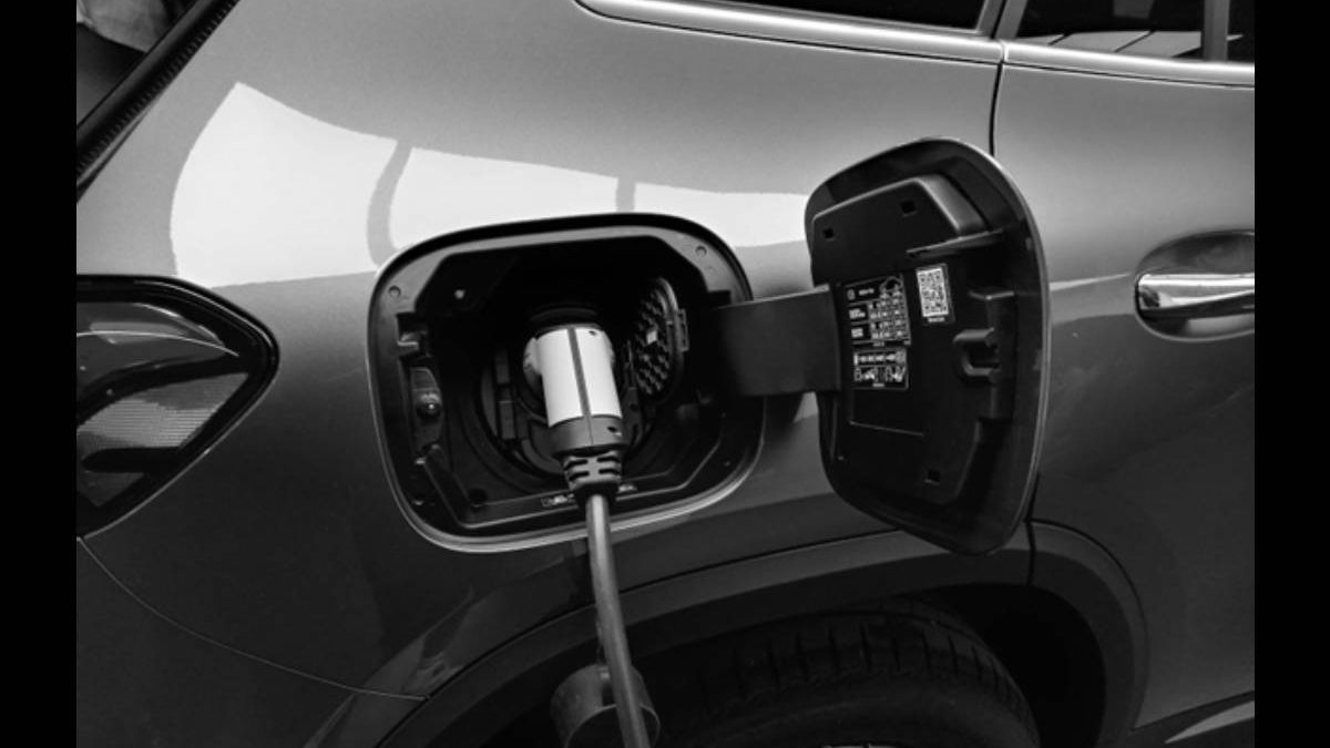 Charging Stations EVSEs electric Vehicle Supply Equipment charging-stations-evses-electric-vehicle-supply-equipment