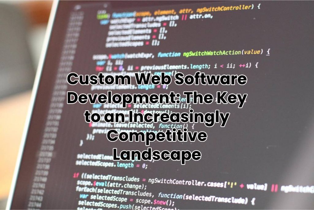 Custom Web Software Development: The Key to an Increasingly Competitive Landscape