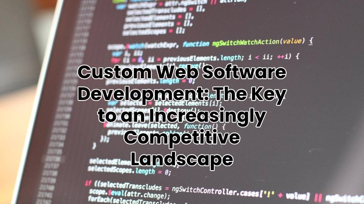 Custom Web Software Development: The Key to an Increasingly Competitive Landscape