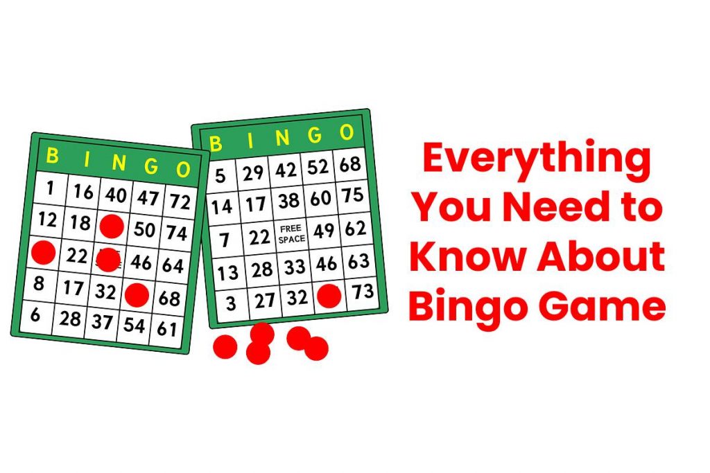 Everything You Need to Know About Bingo Game