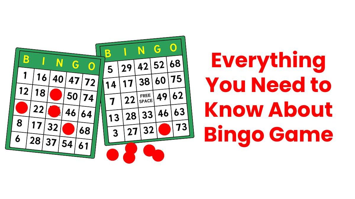 Everything You Need to Know About Bingo Game