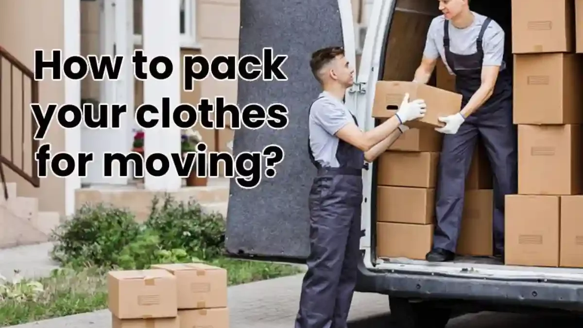 How to Pack your Clothes for Moving? [2024]