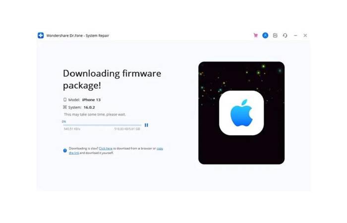 downloading the firmware package