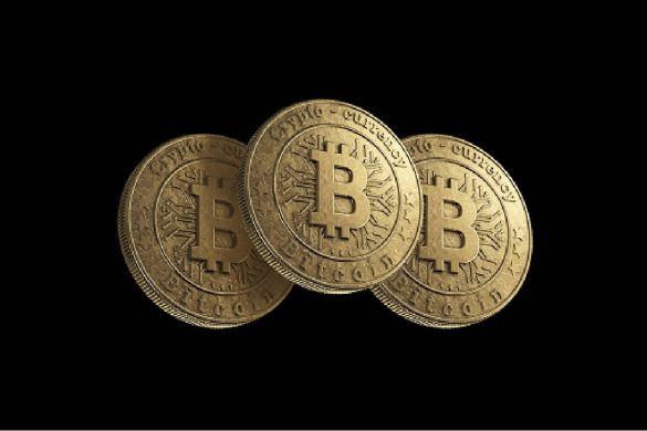 Here Is A Guide For Newbies To Using Crypto In The Real World
