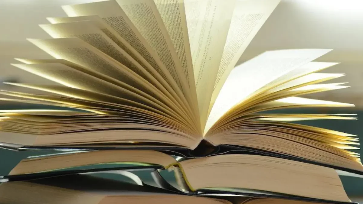 Scholarly Information Literacy: Educating Individuals [2025]