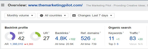Domain Rating of The Marketing Pilot