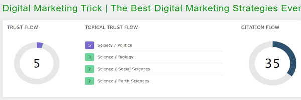 Trust Flow of Digital Marketing Trick