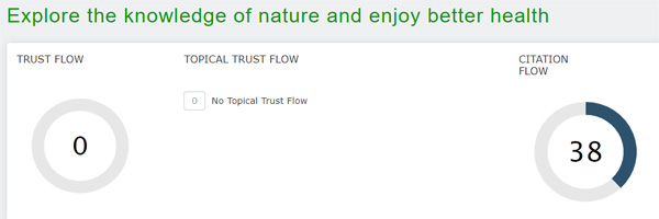 Trust Flow of Health and Blog
