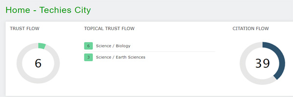 Trust Flow of Techies City