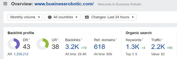 Domain Rating of Business Robotic