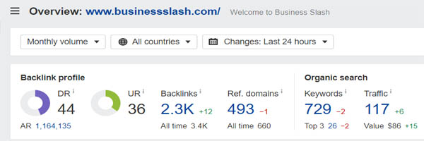 Domain Rating of Business Slash
