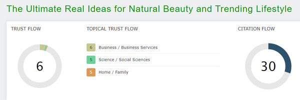 Trust Flow of Real Simple Blog
