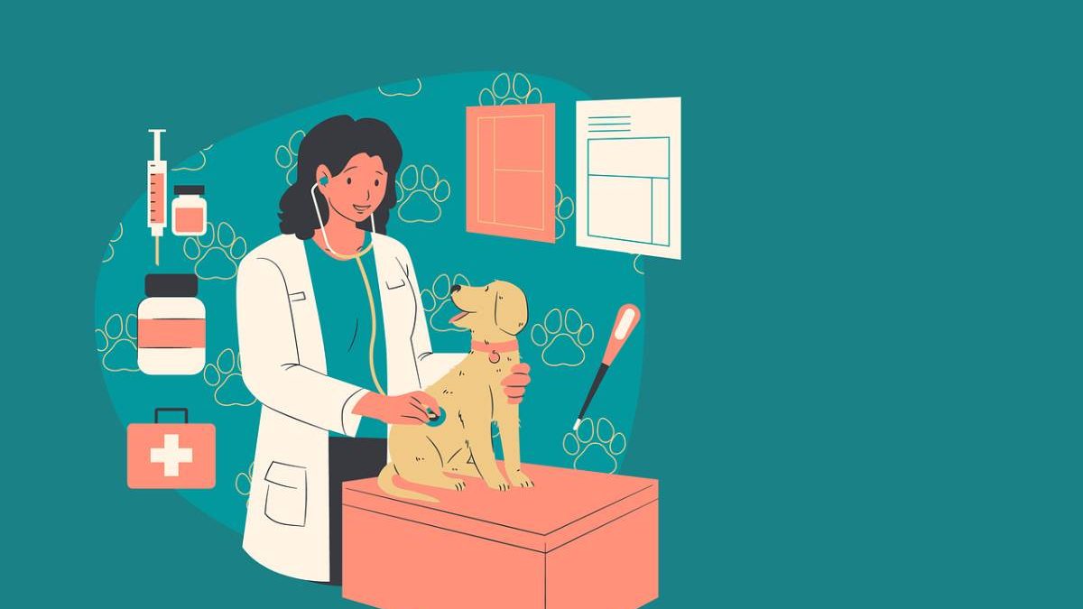 5 Myths About Pet Insurance Debunked [2025]