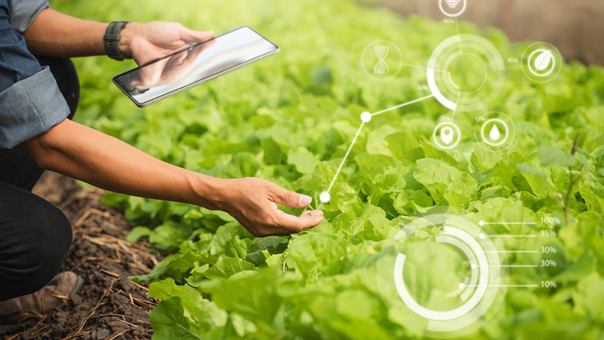 Agriculture Software Development Guide