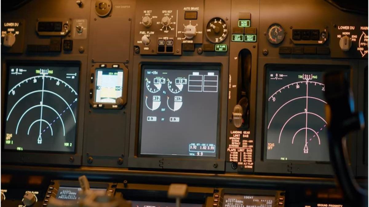 The One you Think is Most Important to Spotlight “Flight Sim Panels”