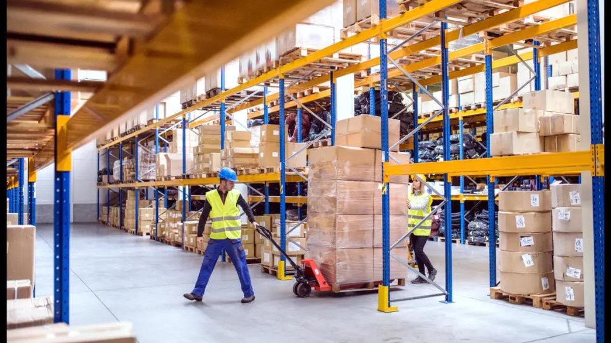 Maximising Warehouse Efficiency: Harnessing the Potential of Warehouse Management Systems