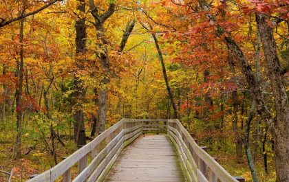 How To Prepare For Fall Weather In The US