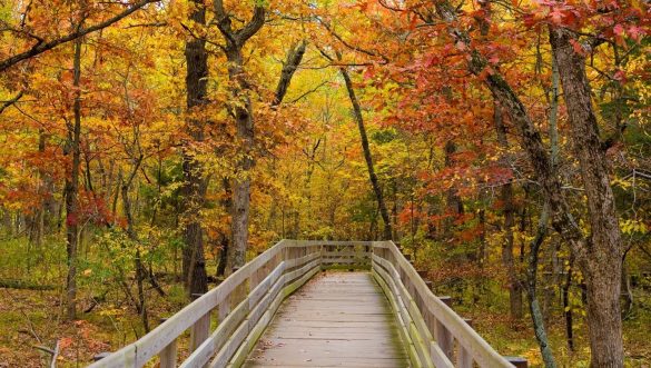 How To Prepare For Fall Weather In The US