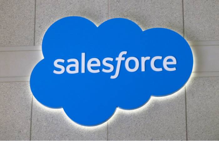 Increase Your Business Profits With Salesforce Solutions