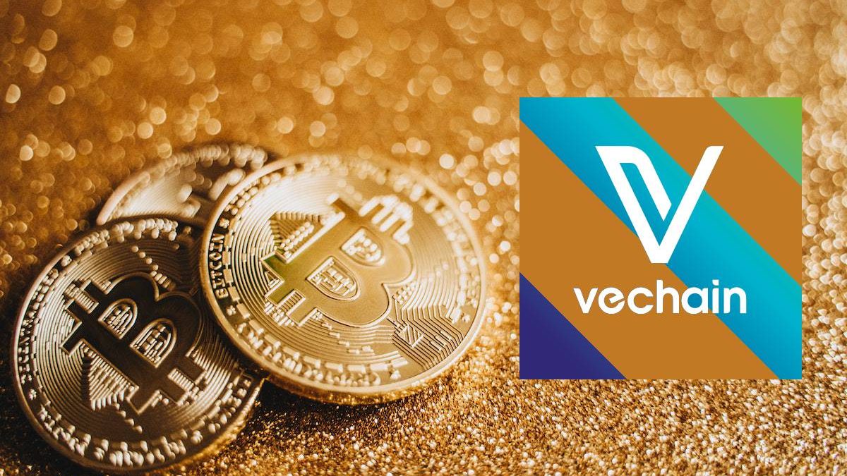 VeChain and Bitcoin: Integrating Supply Chain with Cryptocurrency