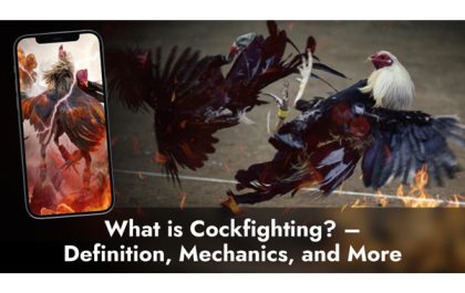 What is Cockfighting