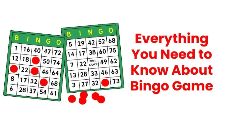 Everything You Need to Know About Bingo Game [2024]