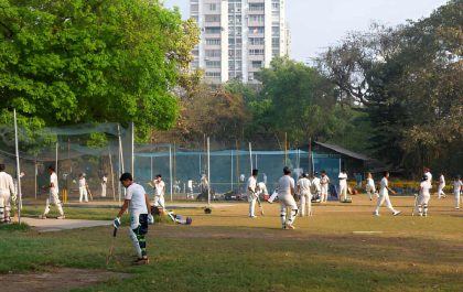 Top Cricket Coaching Classes in Chennai - Cricket Academies  