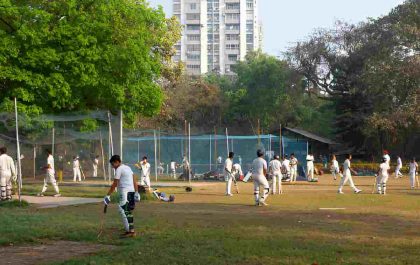 Top Cricket Coaching Classes in Chandigarh - Cricket Academies