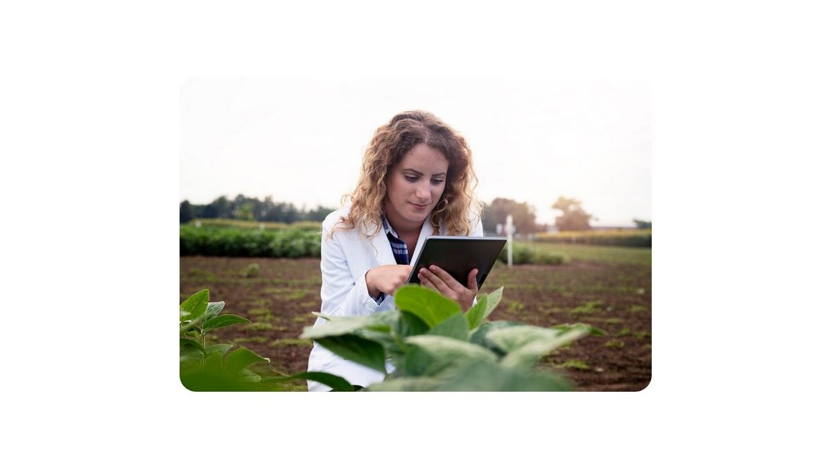 Agriculture Software Development Guide