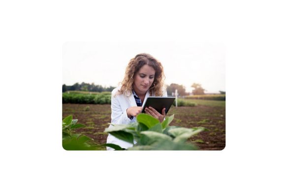 Agriculture Software Development Guide