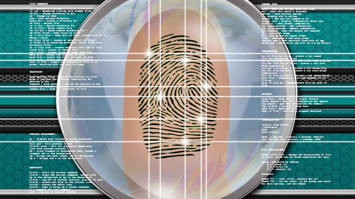 Biometrics in National ID Systems: Opportunities and Risks