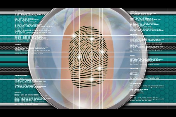 Biometrics in National ID Systems: Opportunities and Risks