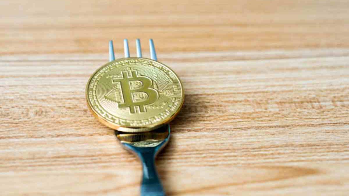 Which are the popular Bitcoin Forks?