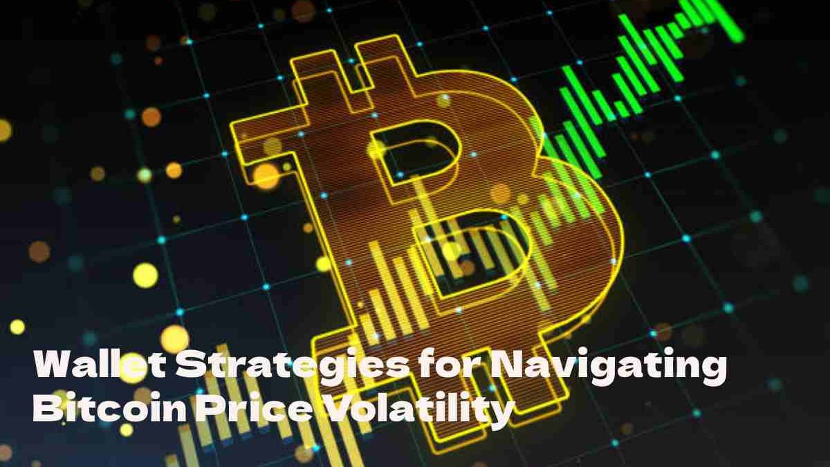 Effective Wallet Strategies for Navigating Bitcoin Price Volatility